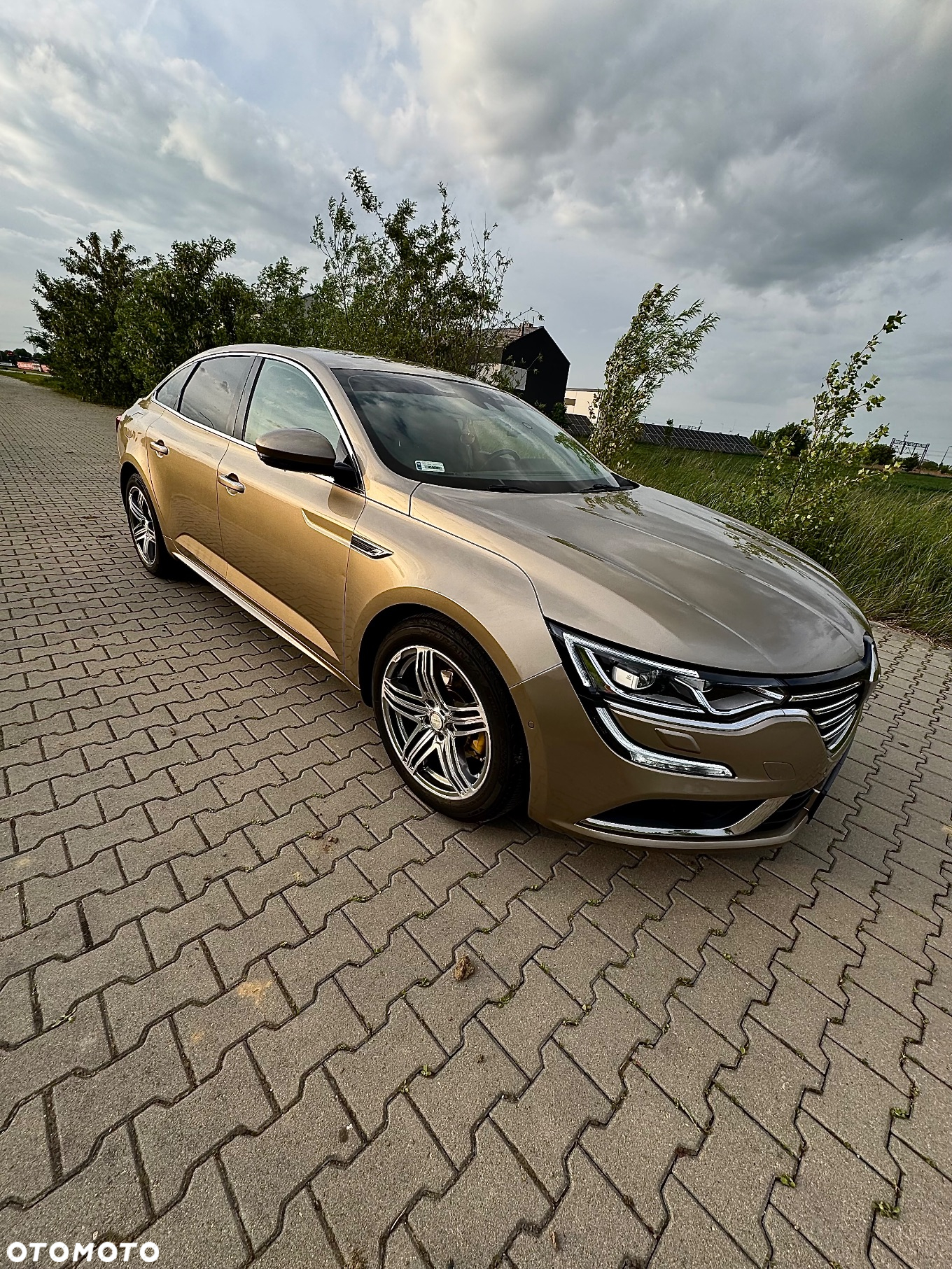 Renault Talisman 1.6 Energy dCi Intens - 8