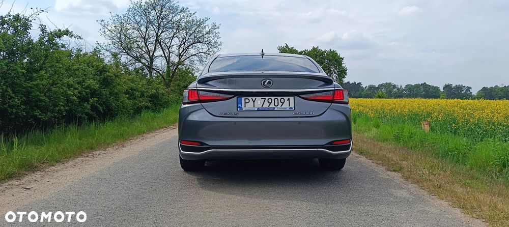 Lexus ES 300h Luxury Line - 7