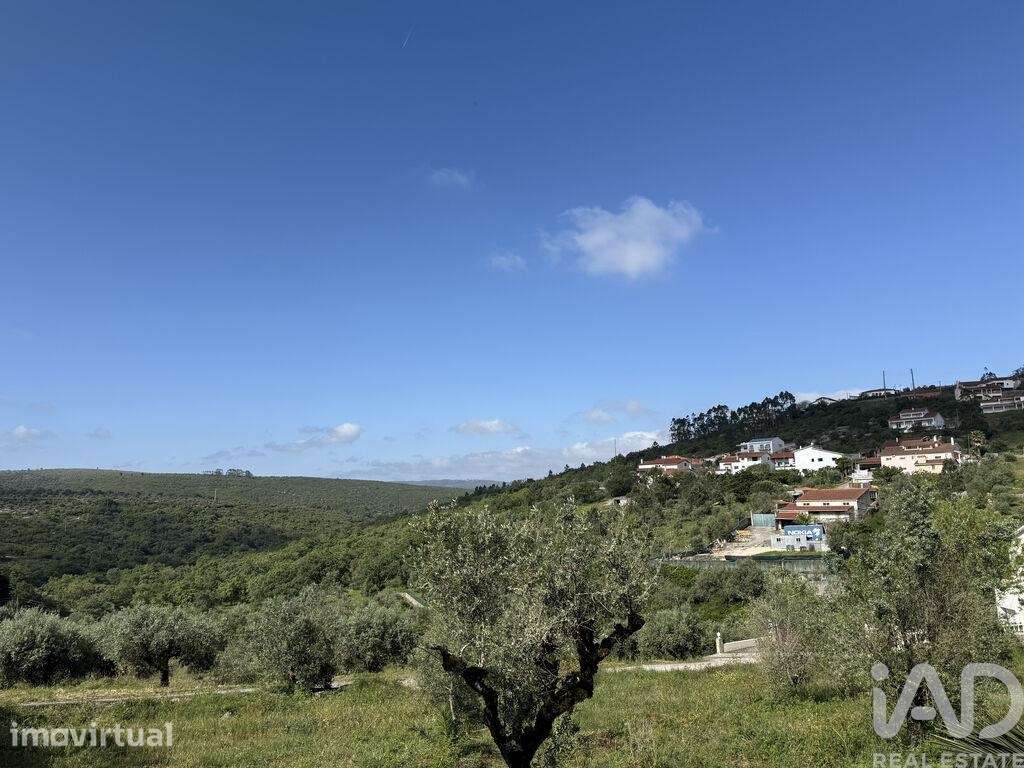 Terreno em Alqueidão da Serra - Grande imagem: 4/22