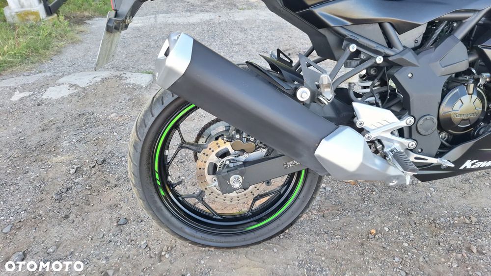 Kawasaki Ninja - 10