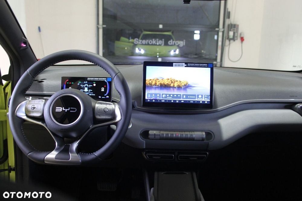 BYD Dolphin Surf - 35