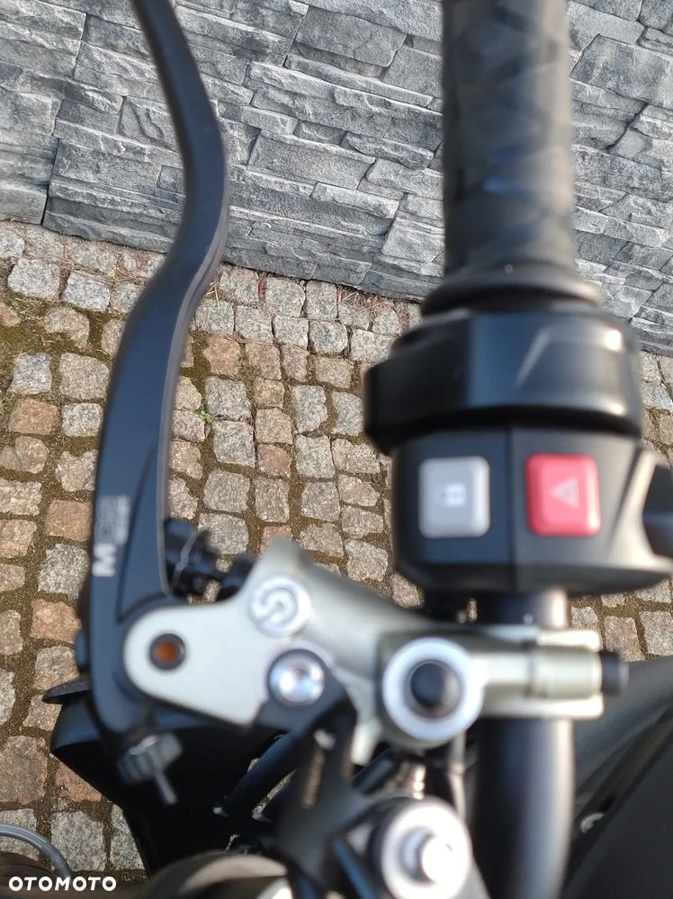 Triumph Speed Triple - 31