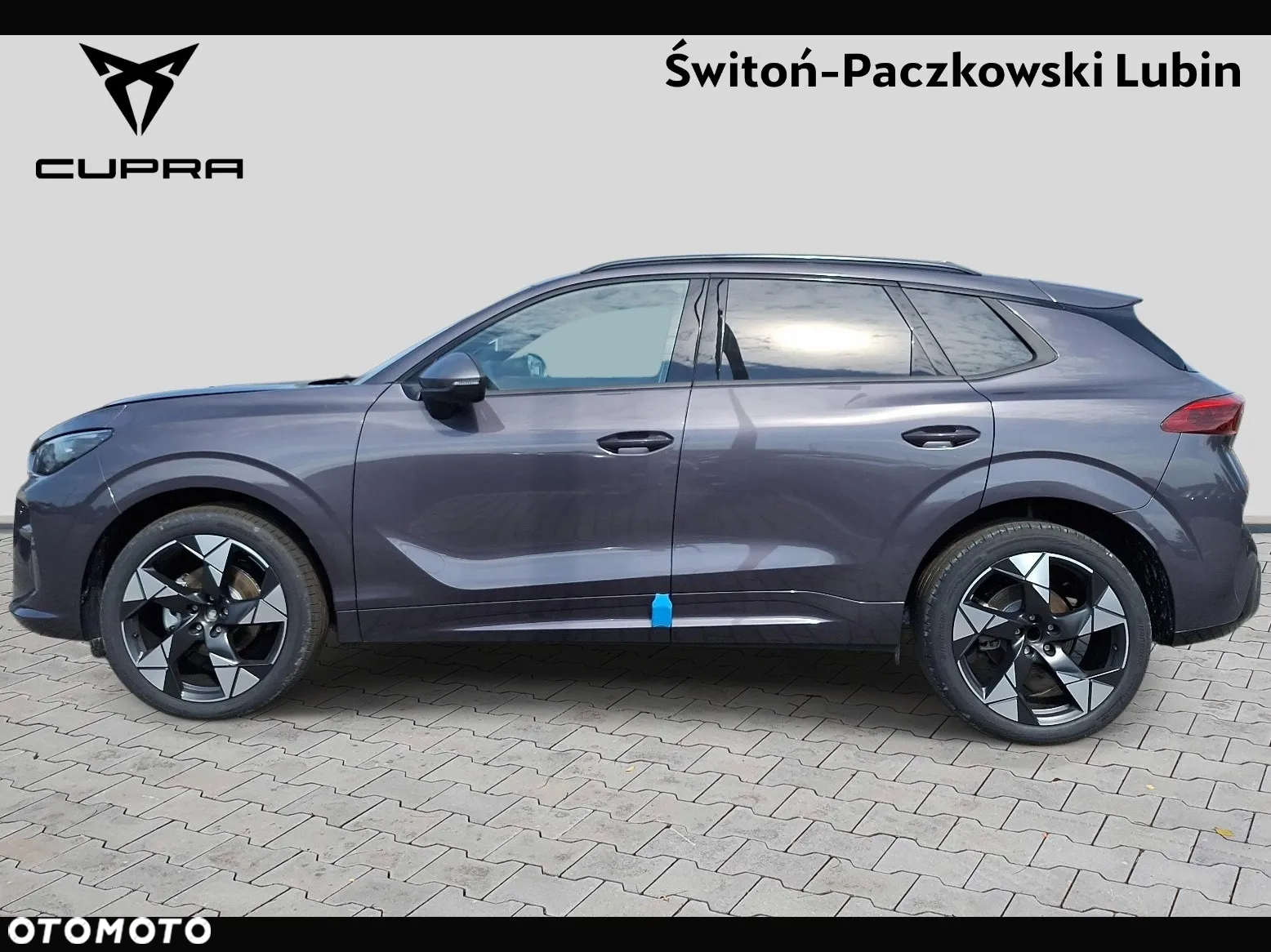 Cupra Terramar - 3