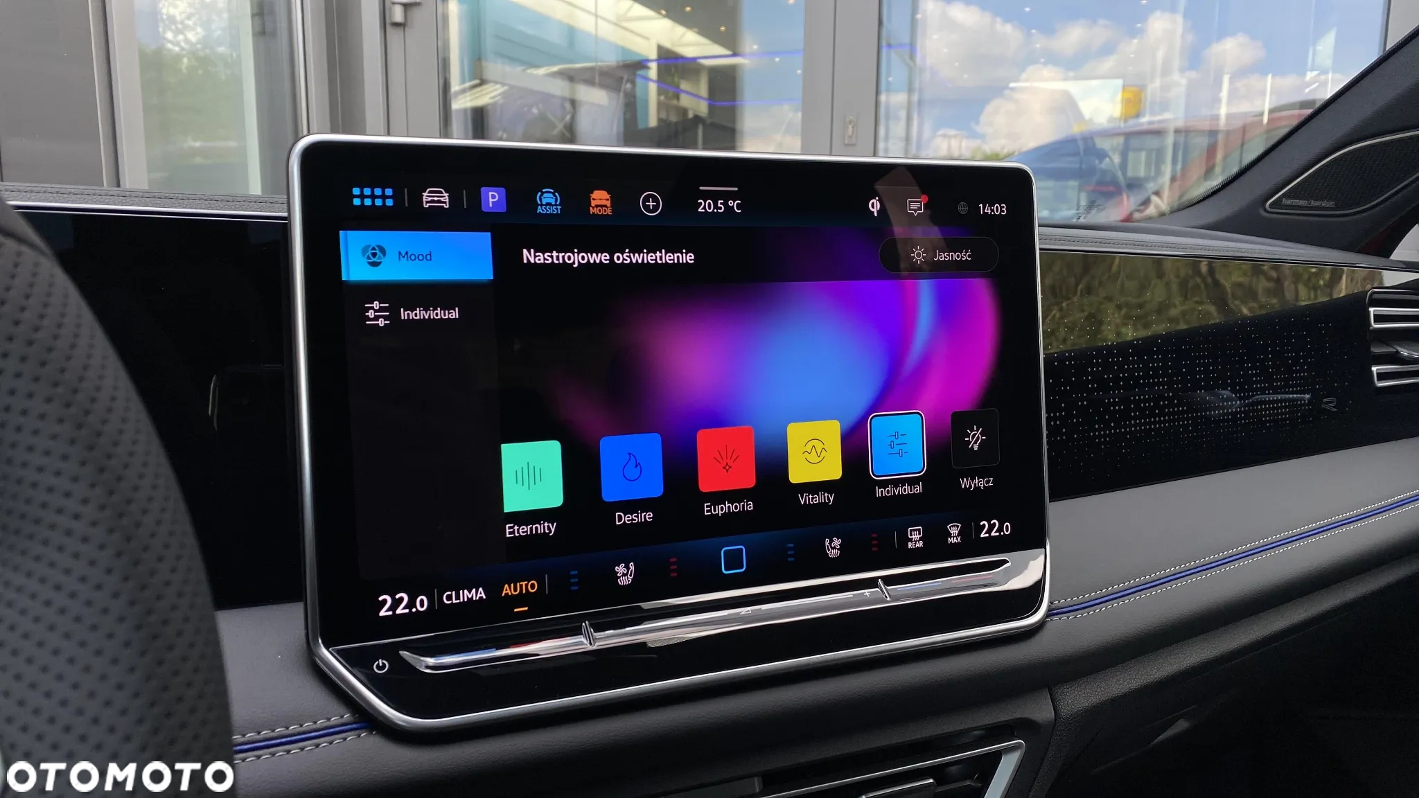 Volkswagen Tiguan 2.0 TSI 4Mot R-Line Plus DSG - 19