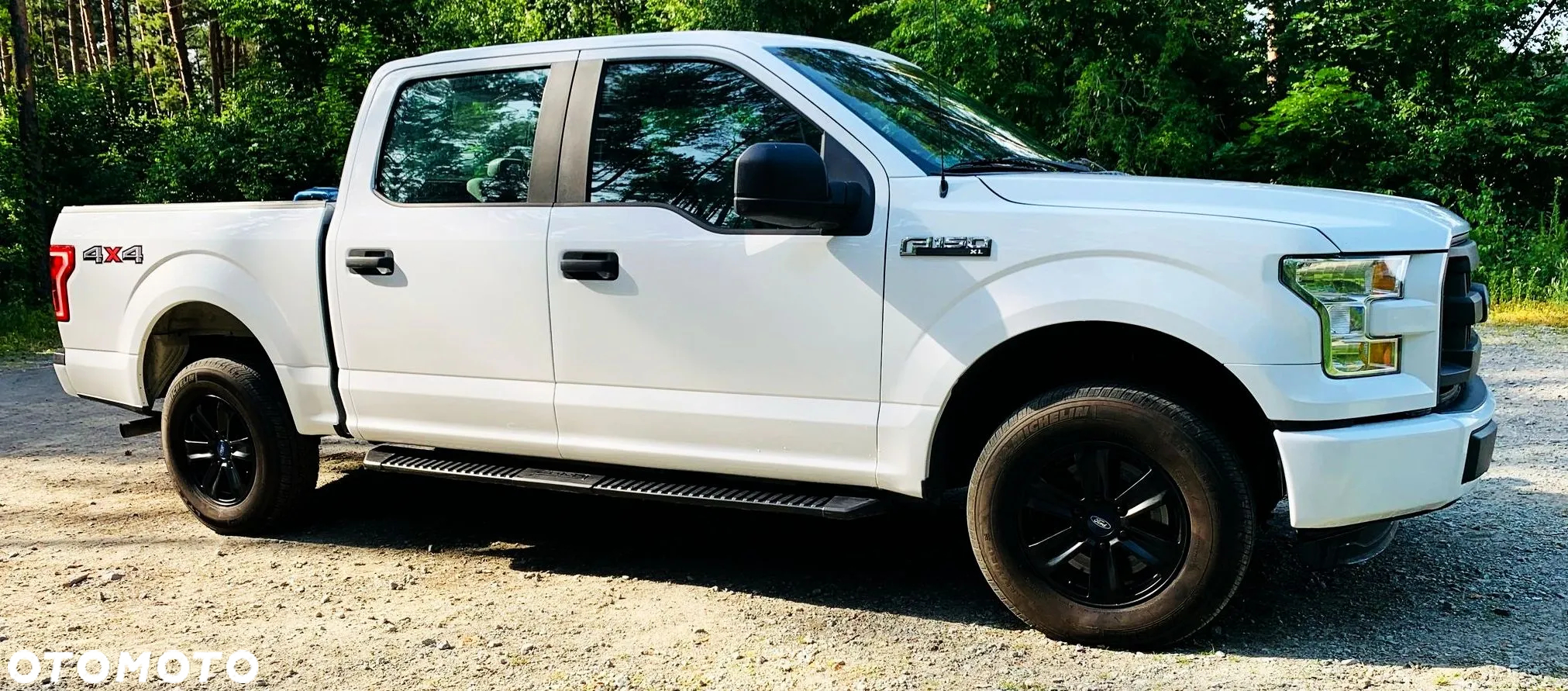 Ford F150 - 8