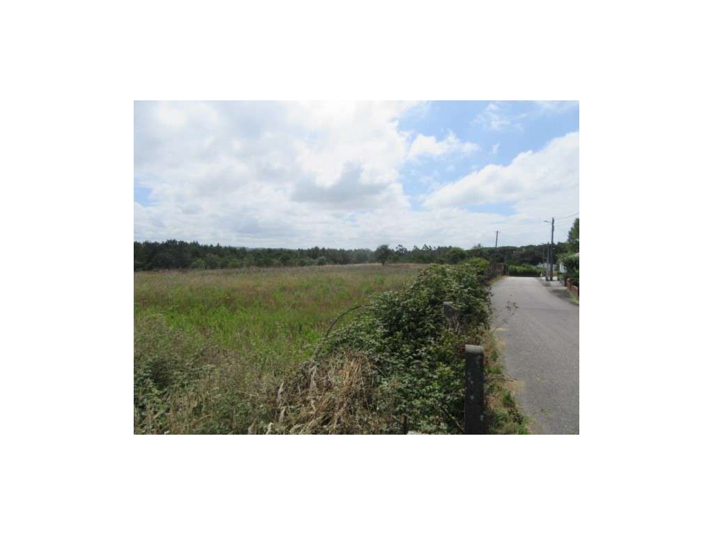 Terreno para construção na Serra Porto D'Urso - Grande imagem: 2/3