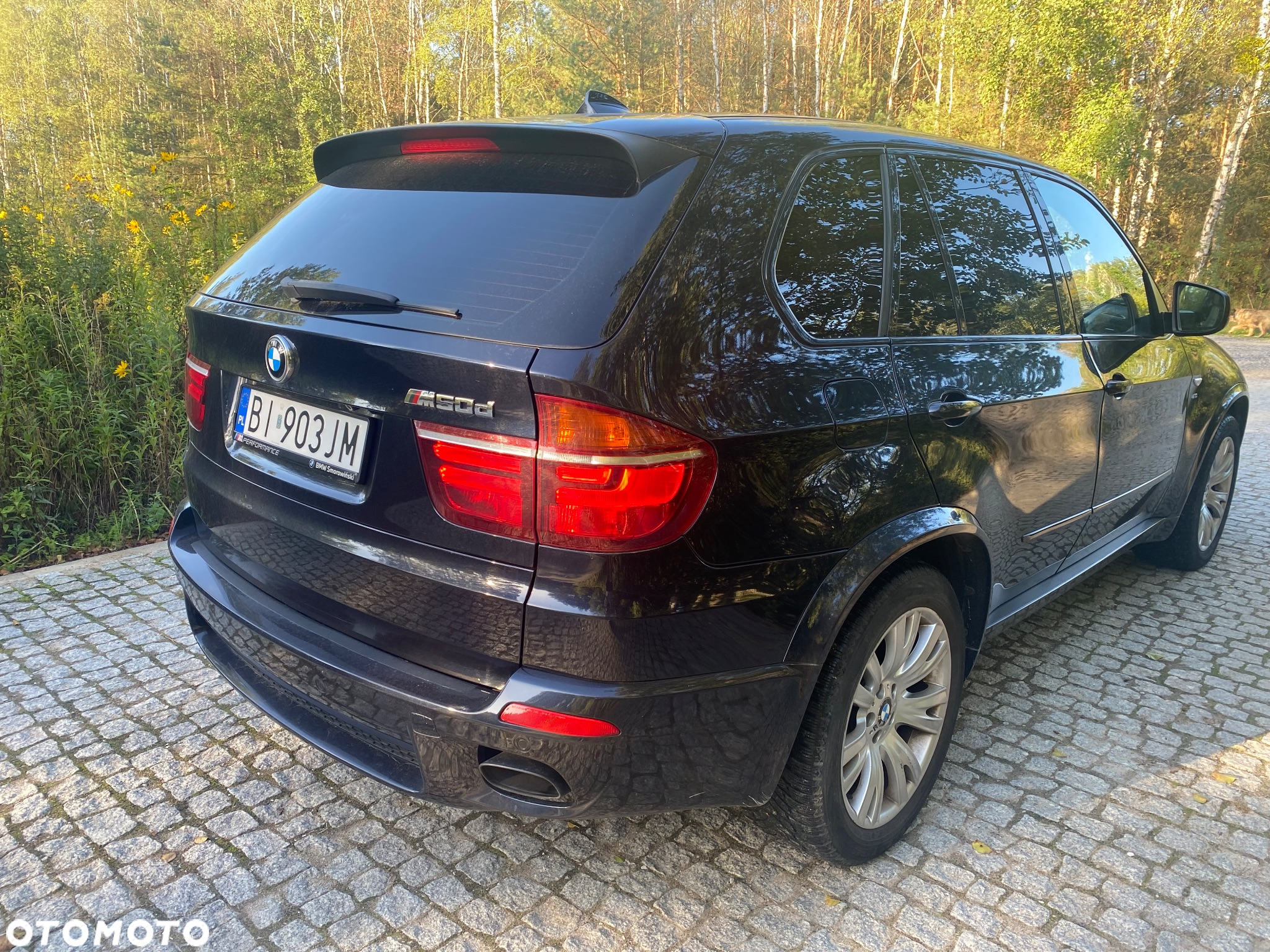 BMW X5 M M50d - 5
