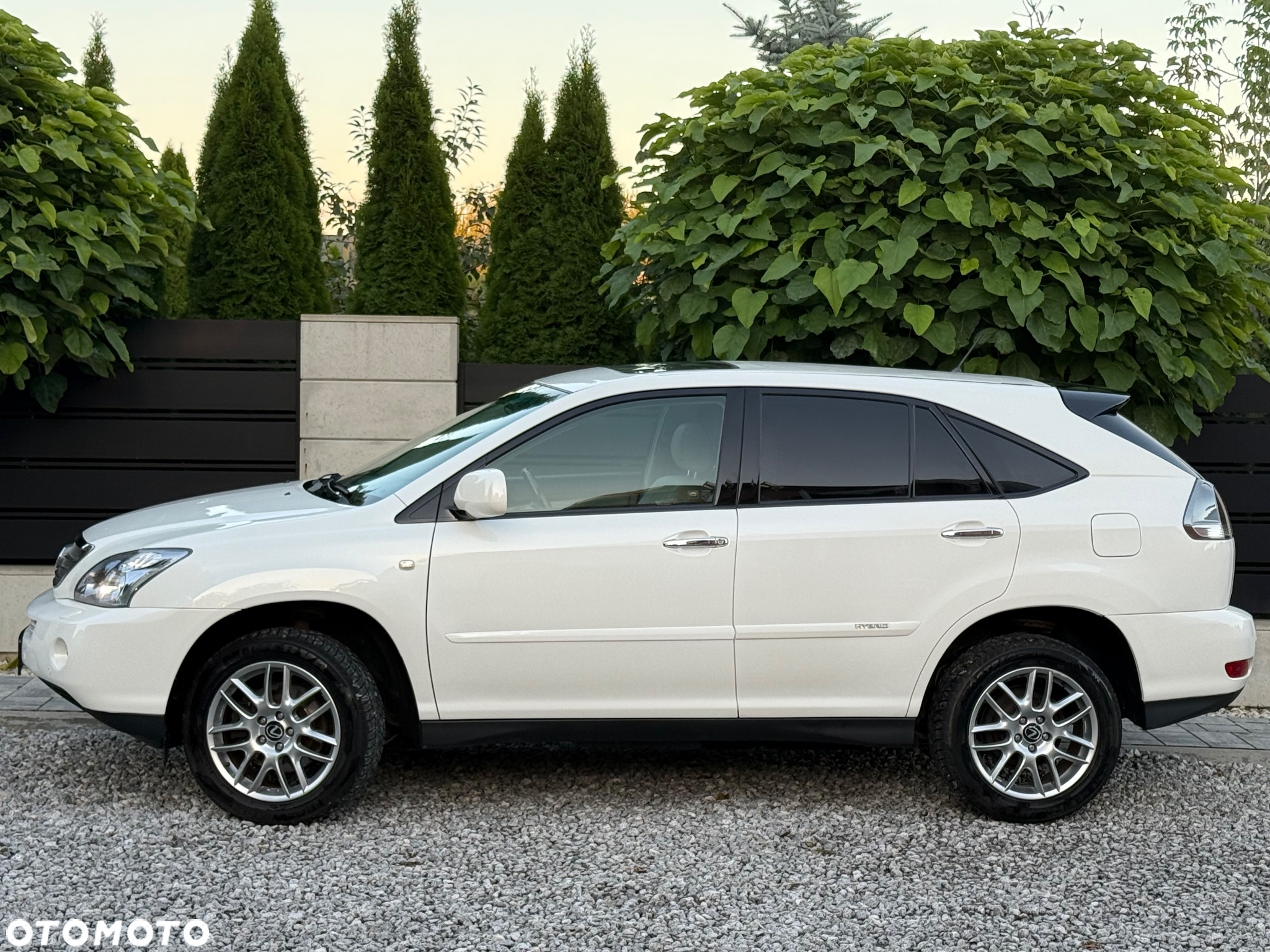 Lexus RX - 3