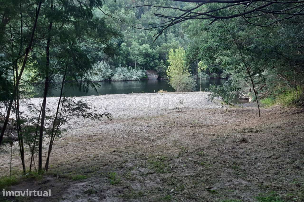 Quinta Junto ao rio Mondego - Grande imagem: 2/21
