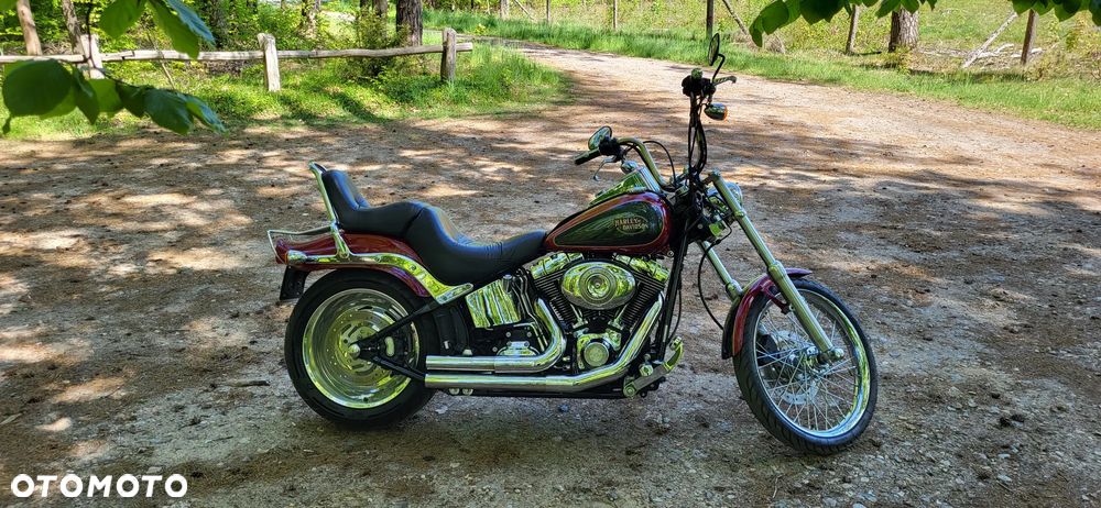 Harley-Davidson Softail Custom - 5