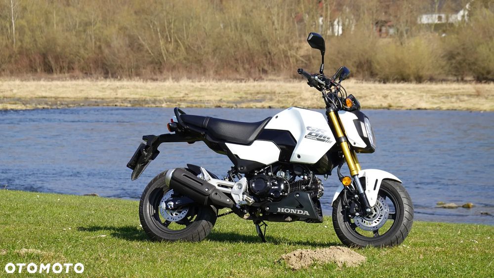 Honda MSX 125 - 3