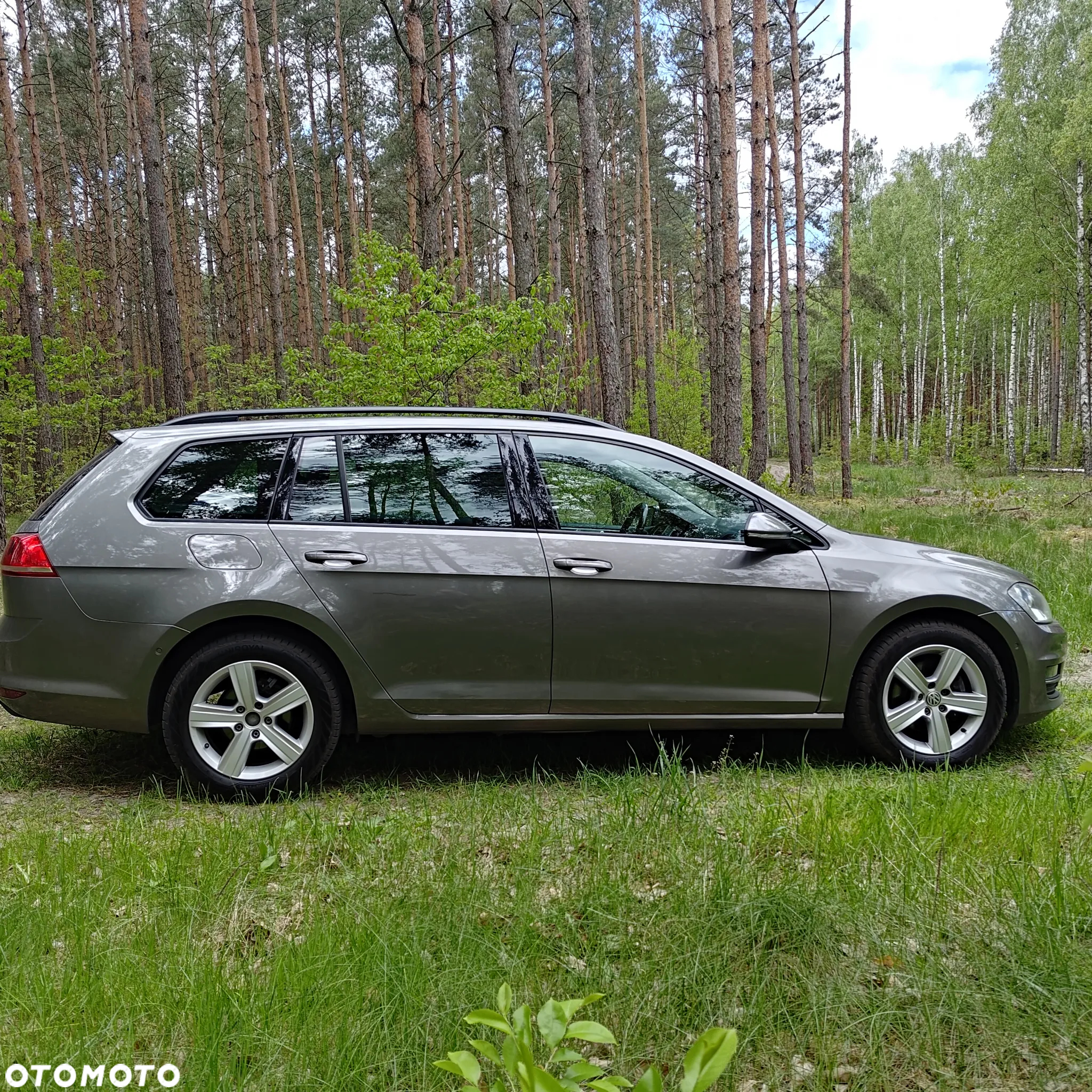 Volkswagen Golf - 5