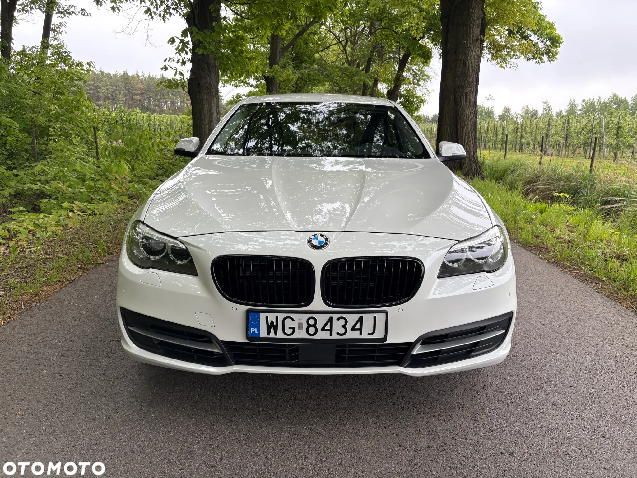 BMW Seria 5 520d - 14