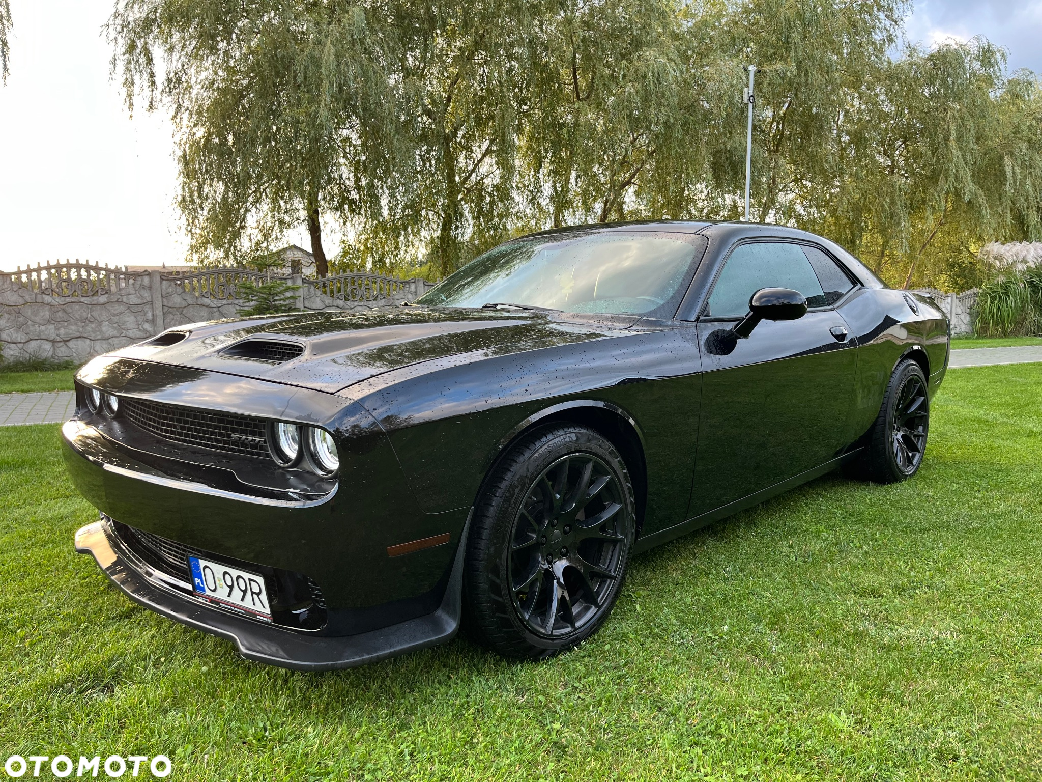Dodge Challenger - 4