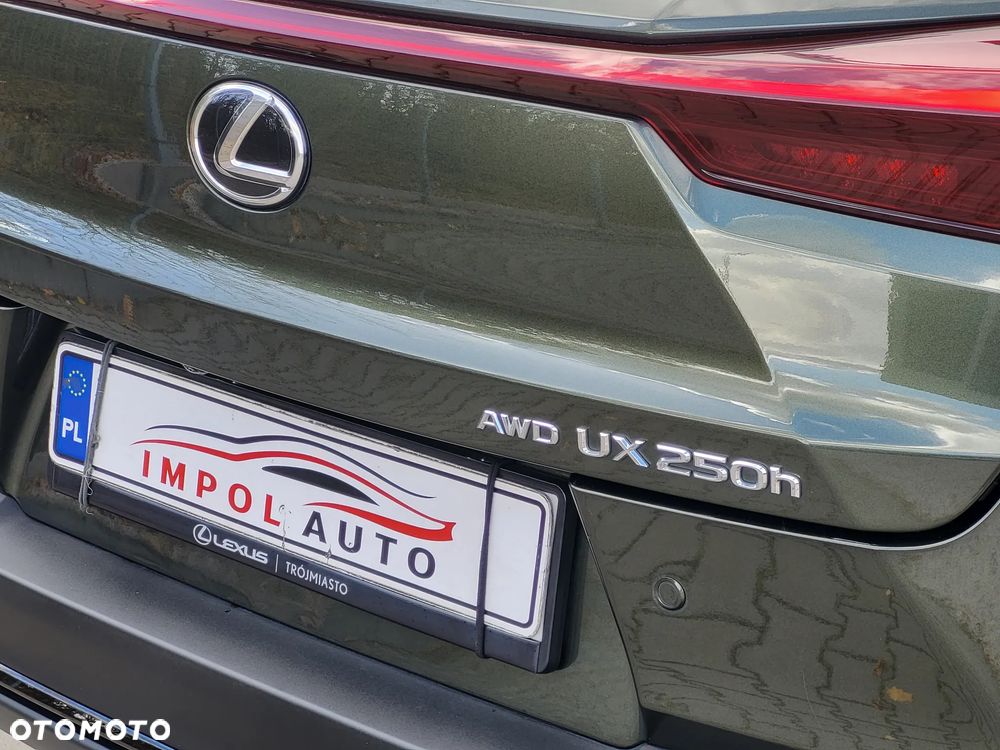 Lexus UX 250h GPF F Sport AWD - 25