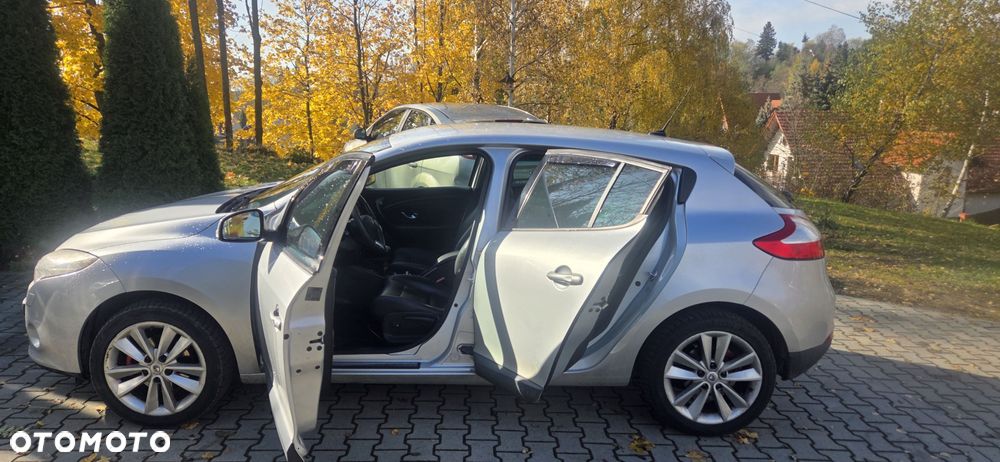 Renault Megane - 5