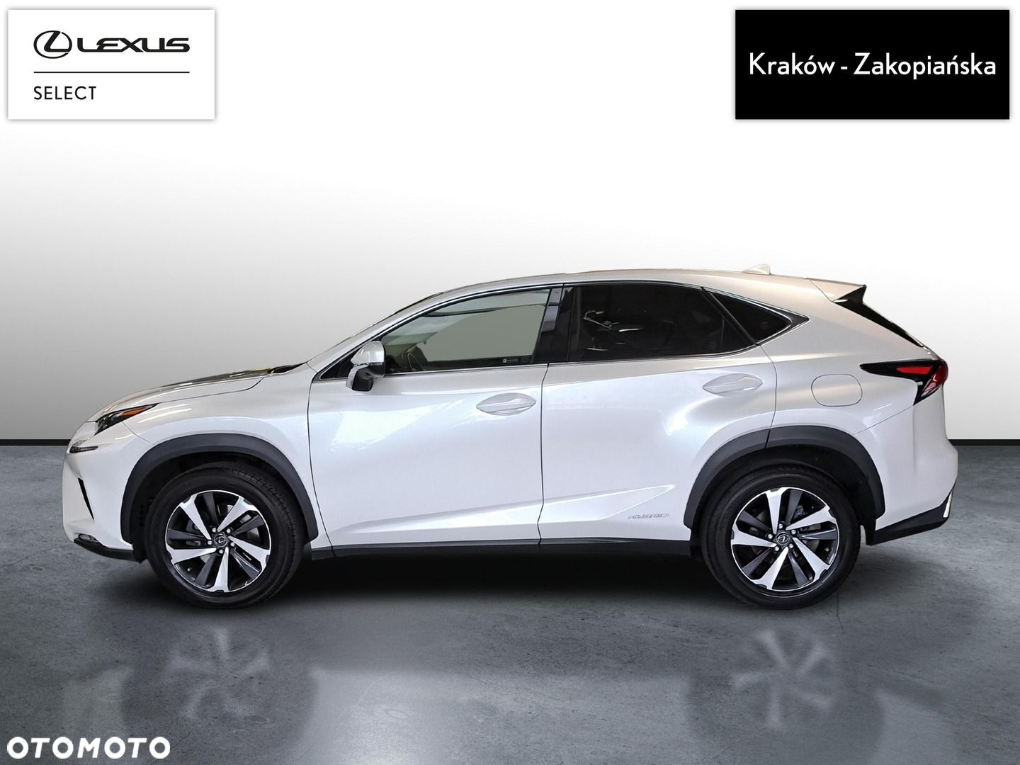 Lexus NX 300h Omotenashi AWD - 4