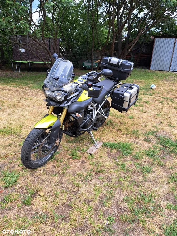 Triumph Tiger - 11
