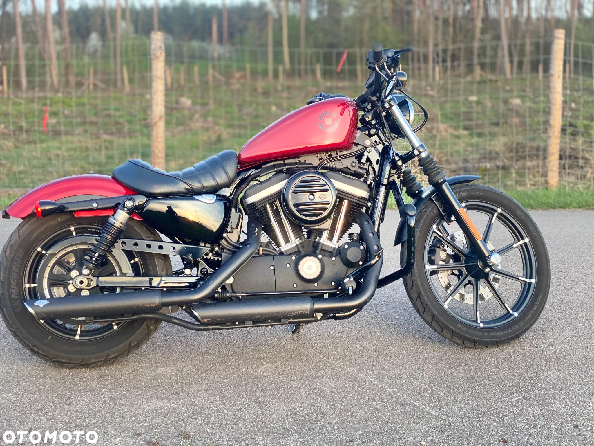 Harley-Davidson Sportster Iron 883 - 6