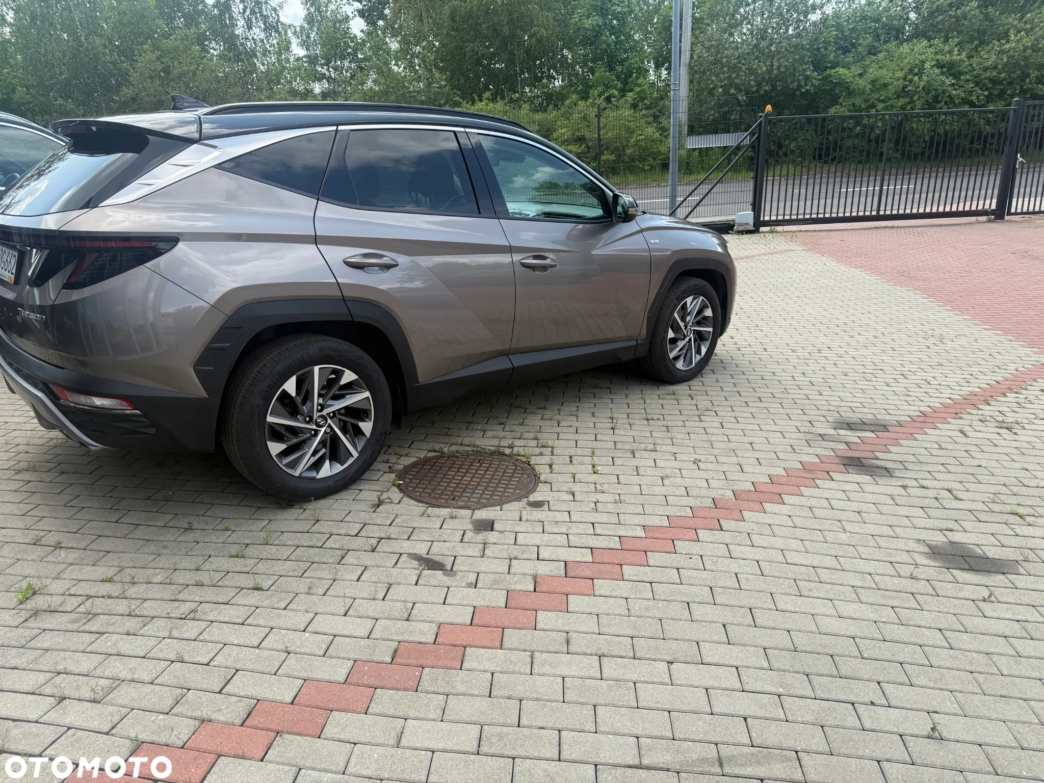 Hyundai Tucson 1.6 T-GDi 48V Platinum 2WD DCT - 3