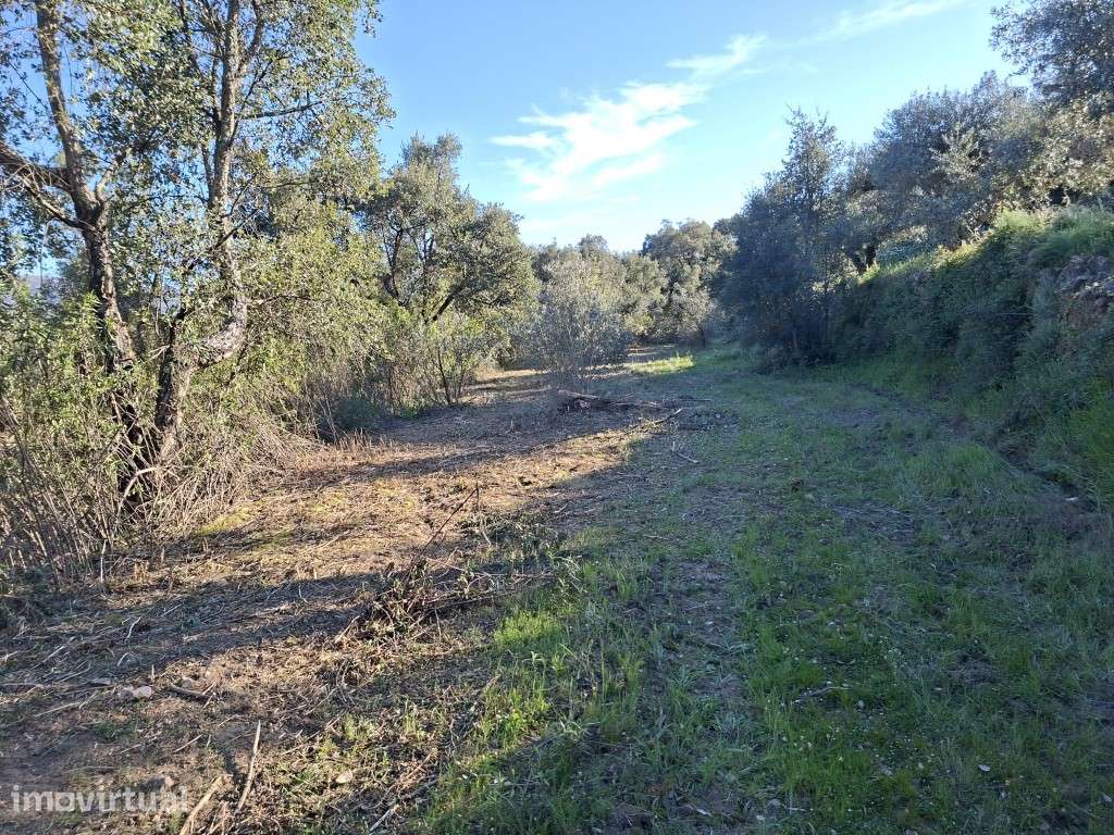 Terreno Agrícola - Telhado / Fundão - 10.000 m² - Grande imagem: 2/10