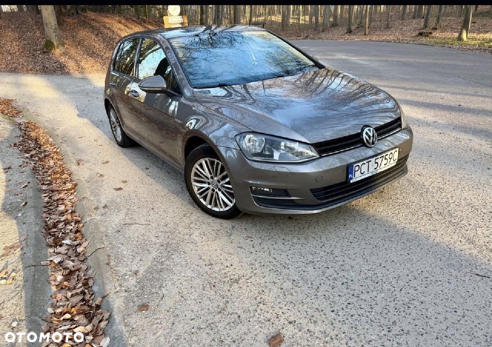 Volkswagen Golf 1.4 TSI BlueMotion Technology Cup - 2