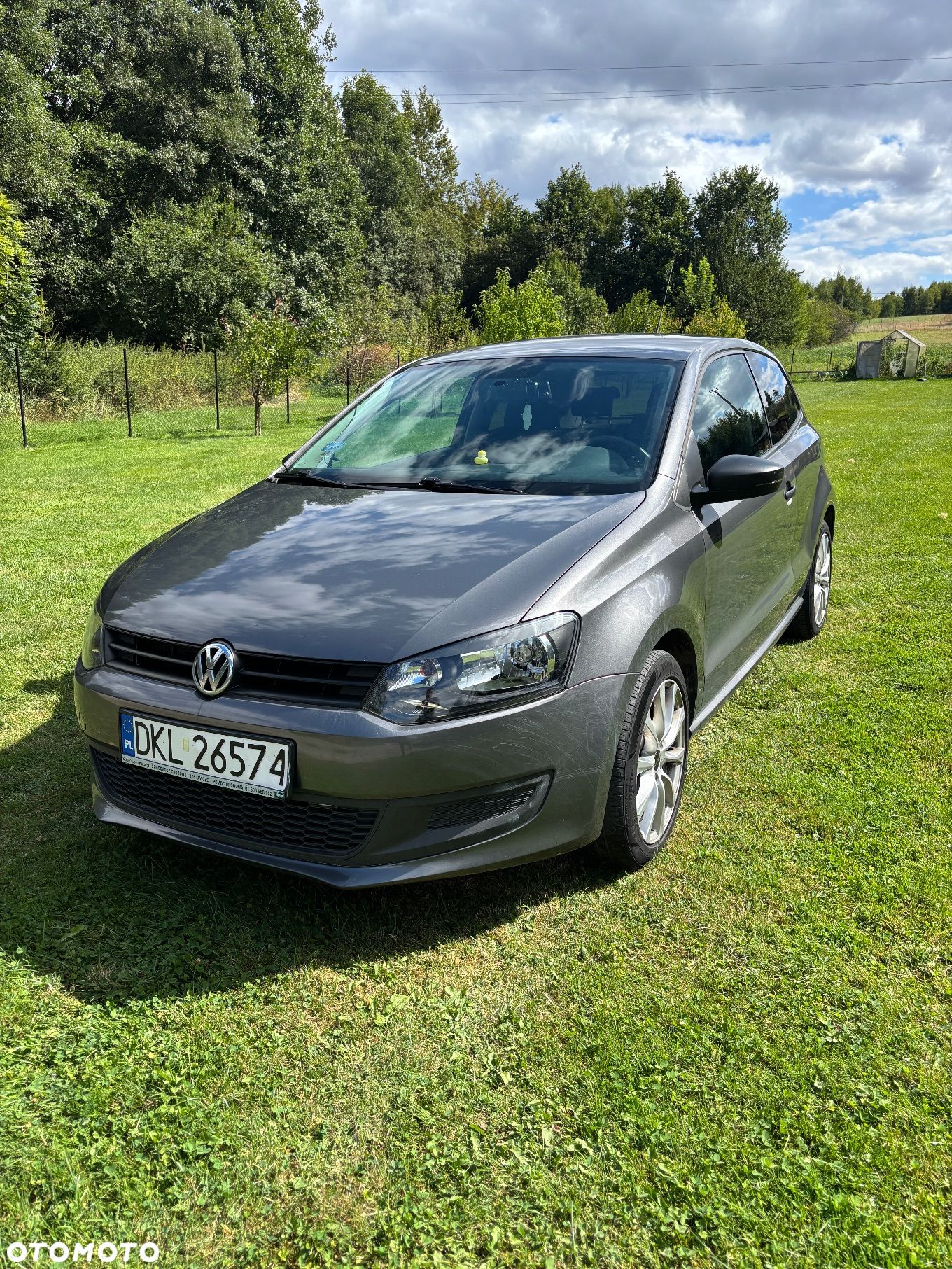 Volkswagen Polo - 1