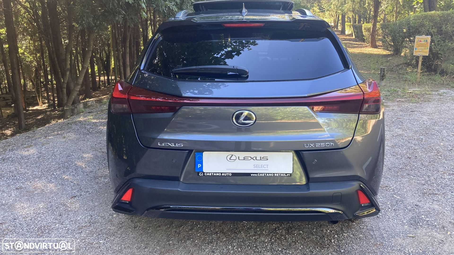 Lexus UX 250h Sport (Ecrã 12.3) - 5
