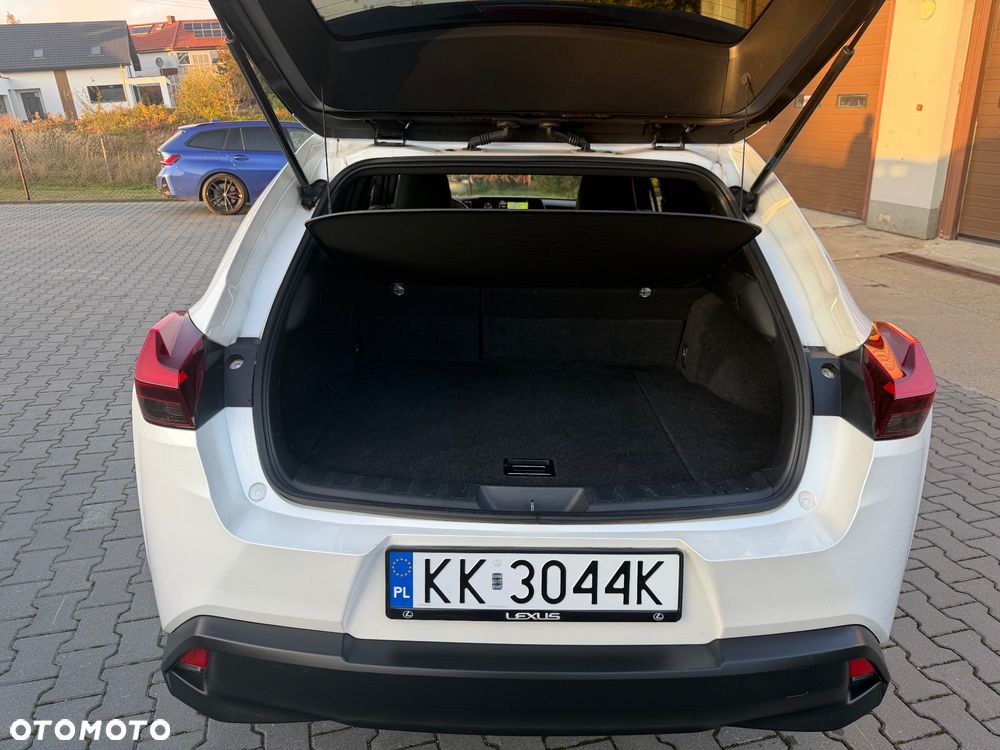 Lexus UX 250h - 20