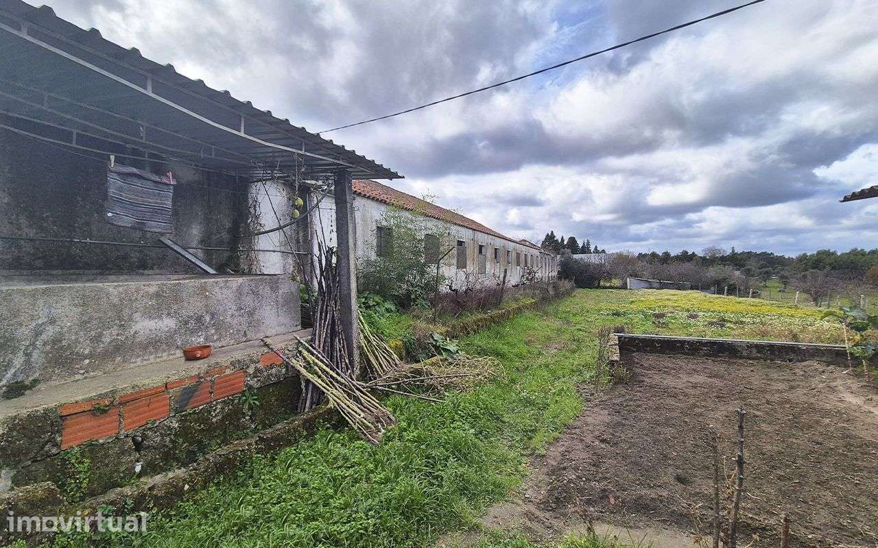 Oportunidade Única, Quinta em Paranhos - Seia - Grande imagem: 3/11