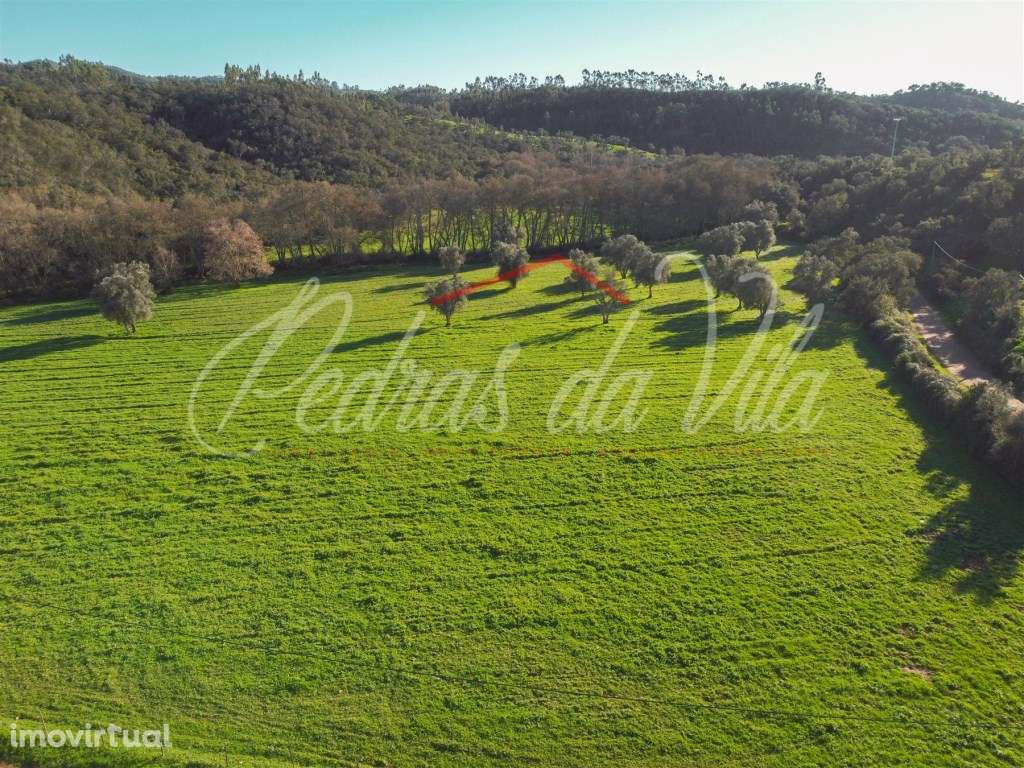 Monte Alentejano de 36ha com 3 ruinas - Pego das Pias - Odemira - Grande imagem: 4/31