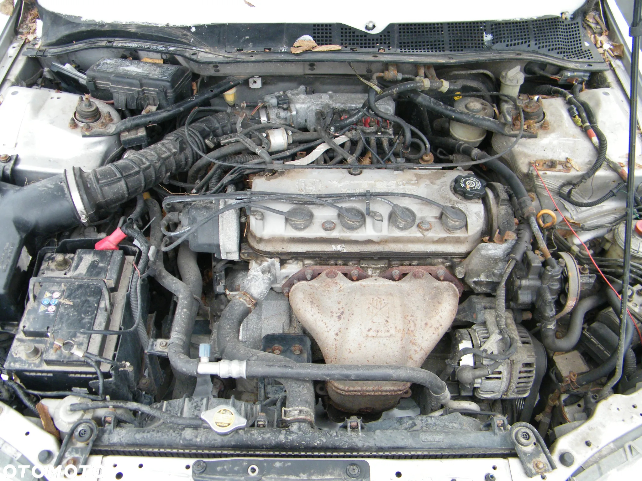 Honda Accord 2.0 B 136KM silnik F18B2 lakier NH614M - 6
