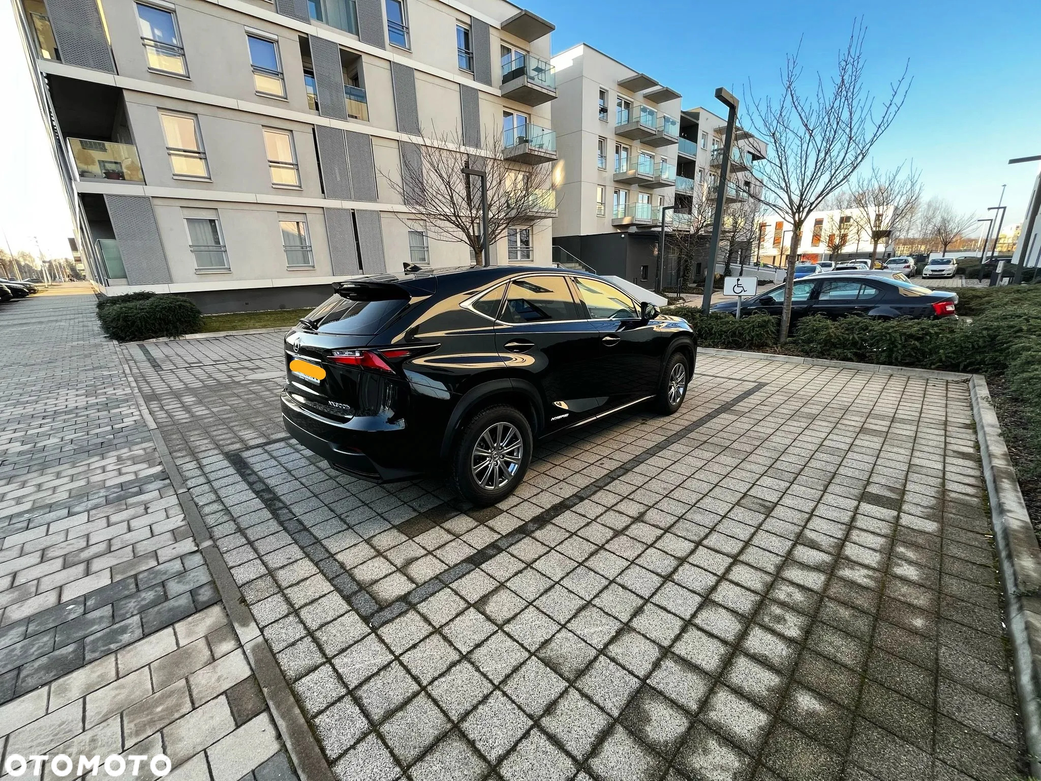 Lexus NX 300h Elegance 2WD - 2