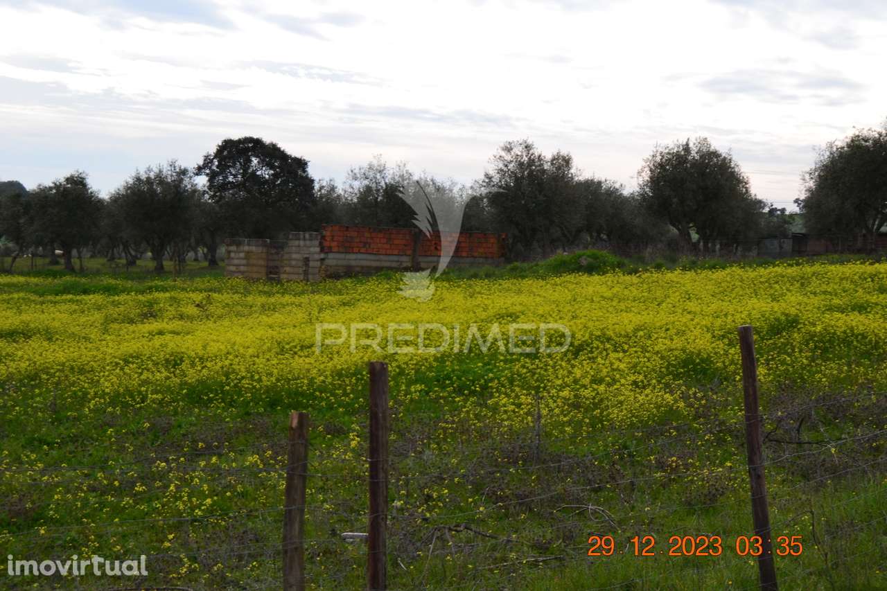 Terreno Rustico - Grande imagem: 3/20