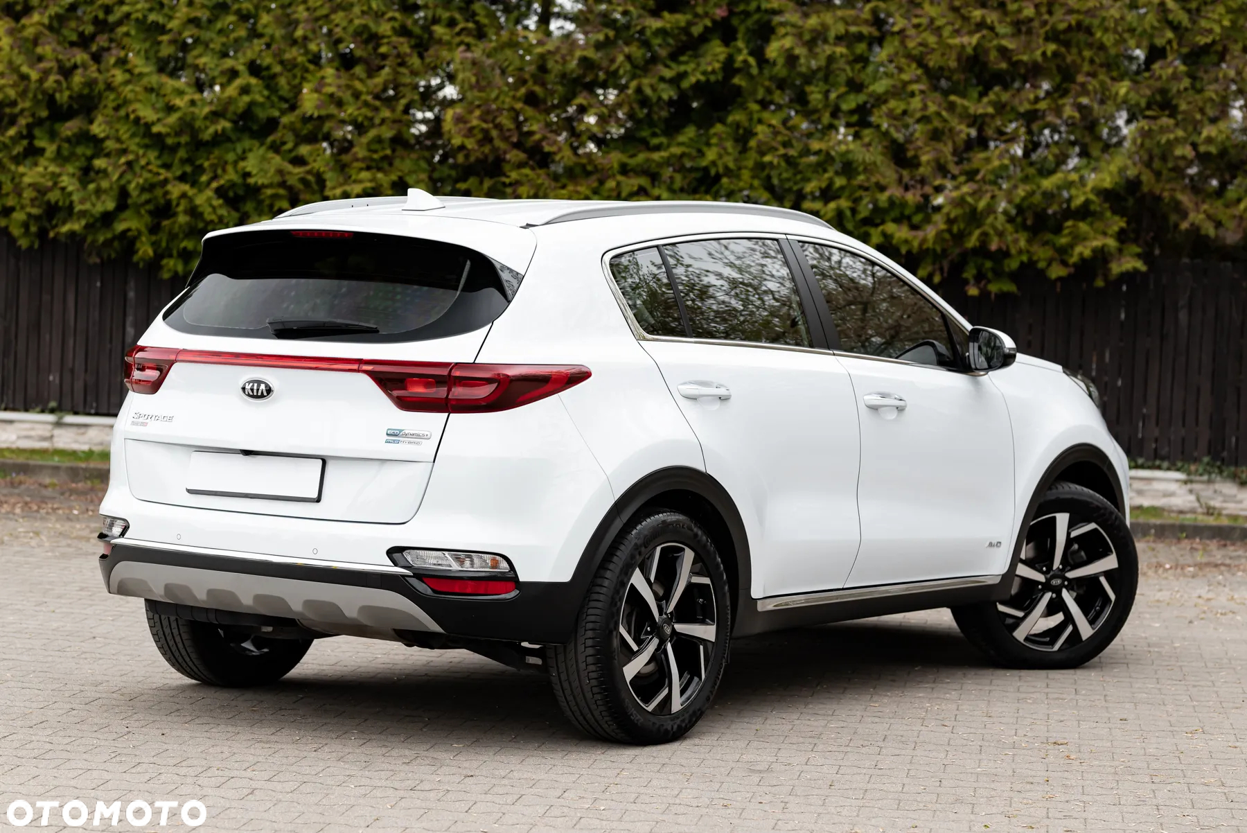 Kia Sportage 1.6 CRDI AWD Eco-Dynamics+ (48V M-H) DCT Vision - 13
