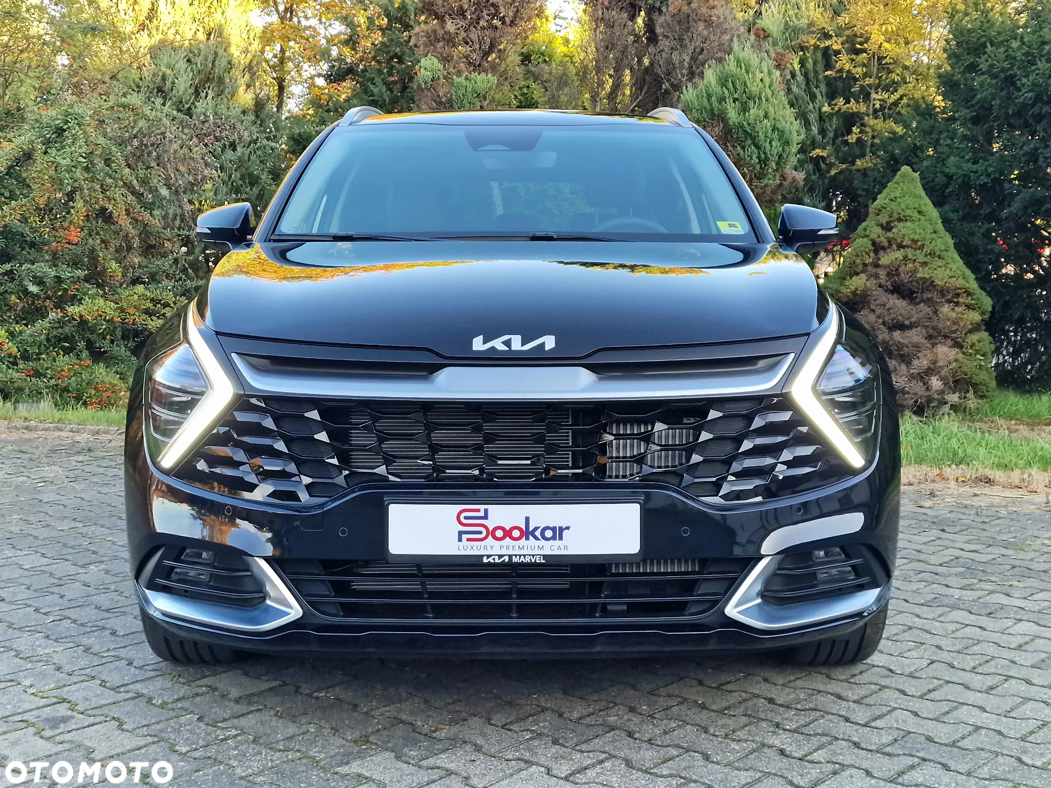 Kia Sportage 1.6 T-GDI Business Line 2WD DCT - 7