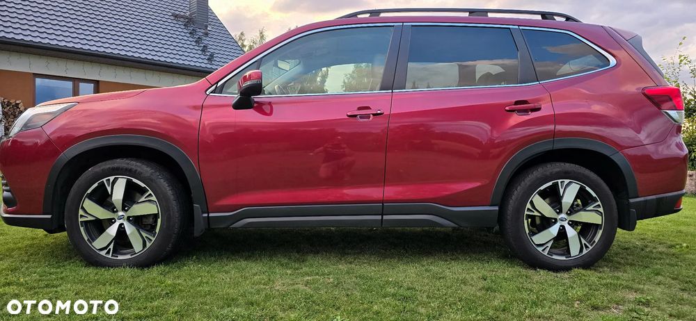 Subaru Forester - 14