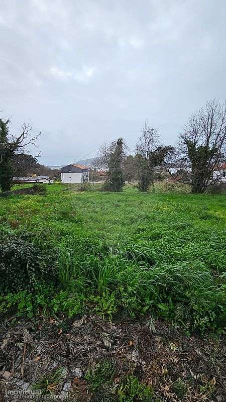 Terreno  para venda - Grande imagem: 4/4