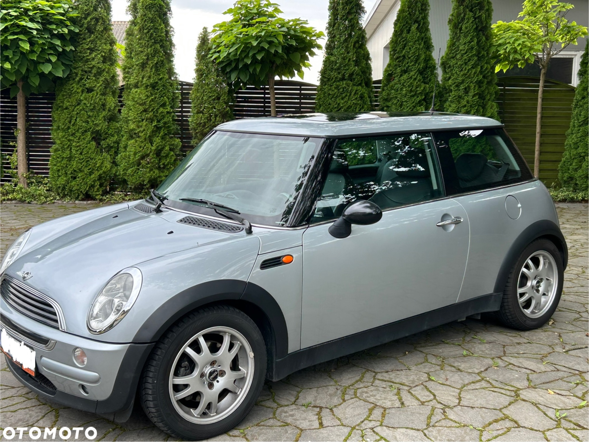 MINI ONE - 3