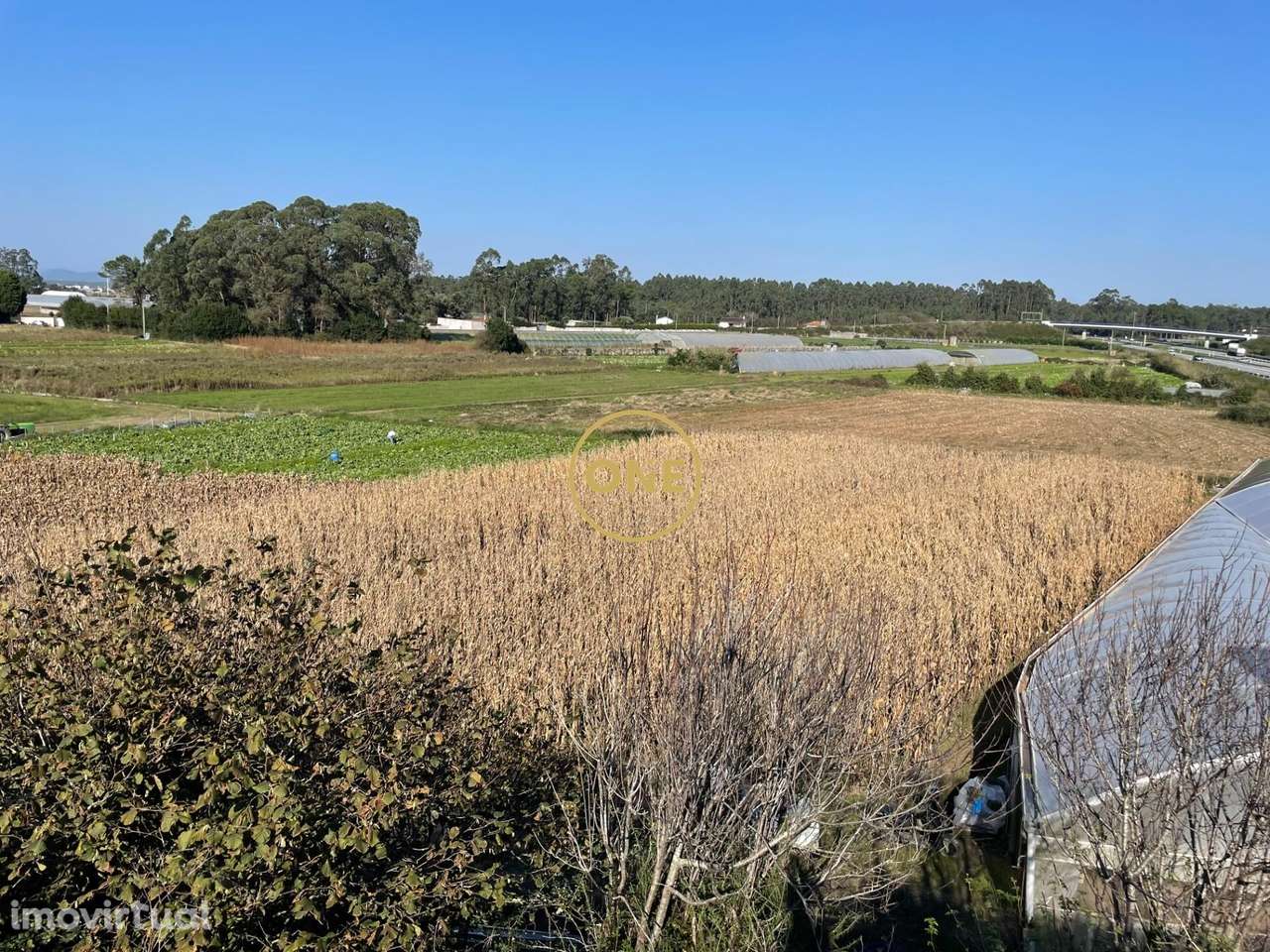 Venda Terreno - Grande imagem: 4/6