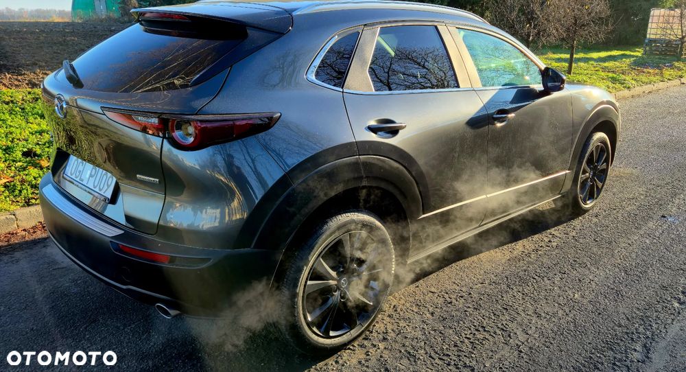Mazda CX-30 - 19