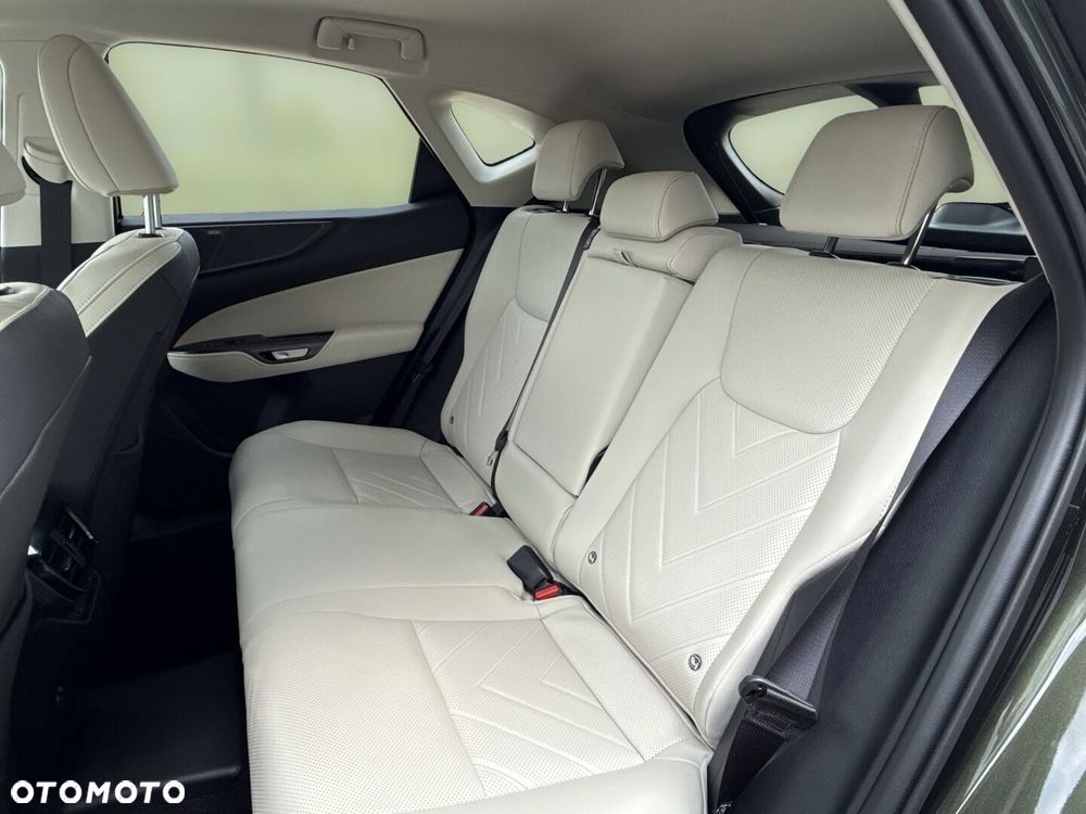 Lexus NX - 18