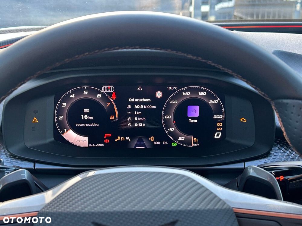 Cupra Terramar 2.0 TSI 4Drive DSG - 29