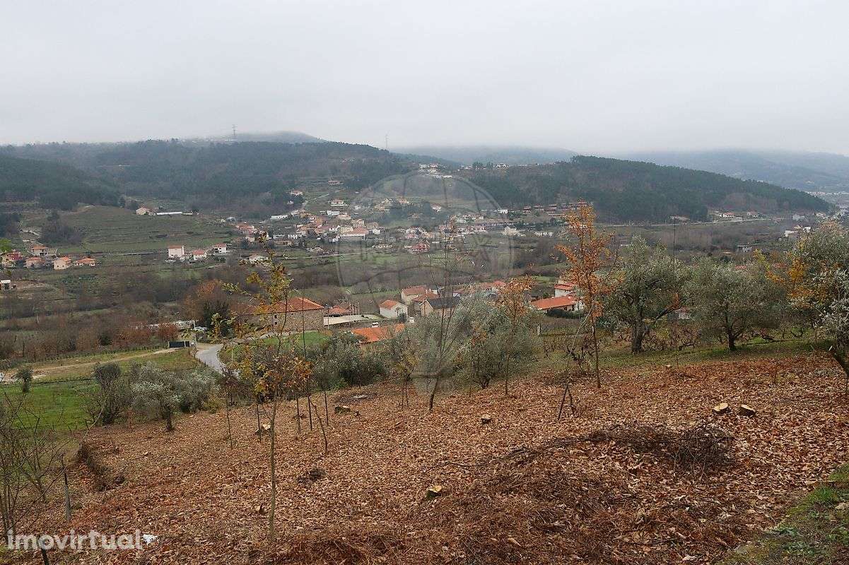 Terreno  para venda - Grande imagem: 4/4