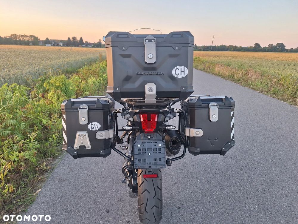 Triumph Tiger - 6