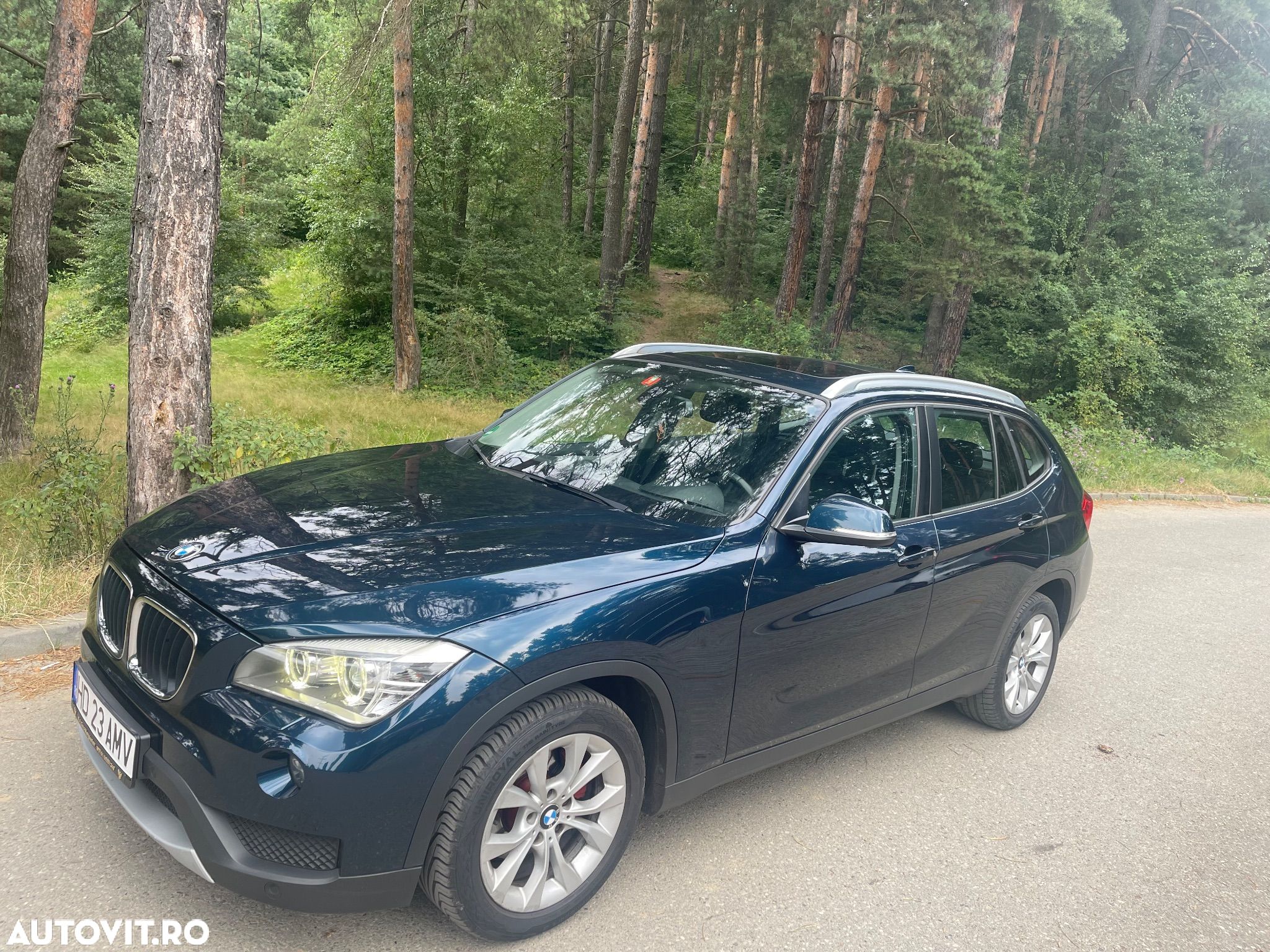 BMW X1 xDrive25d - 1