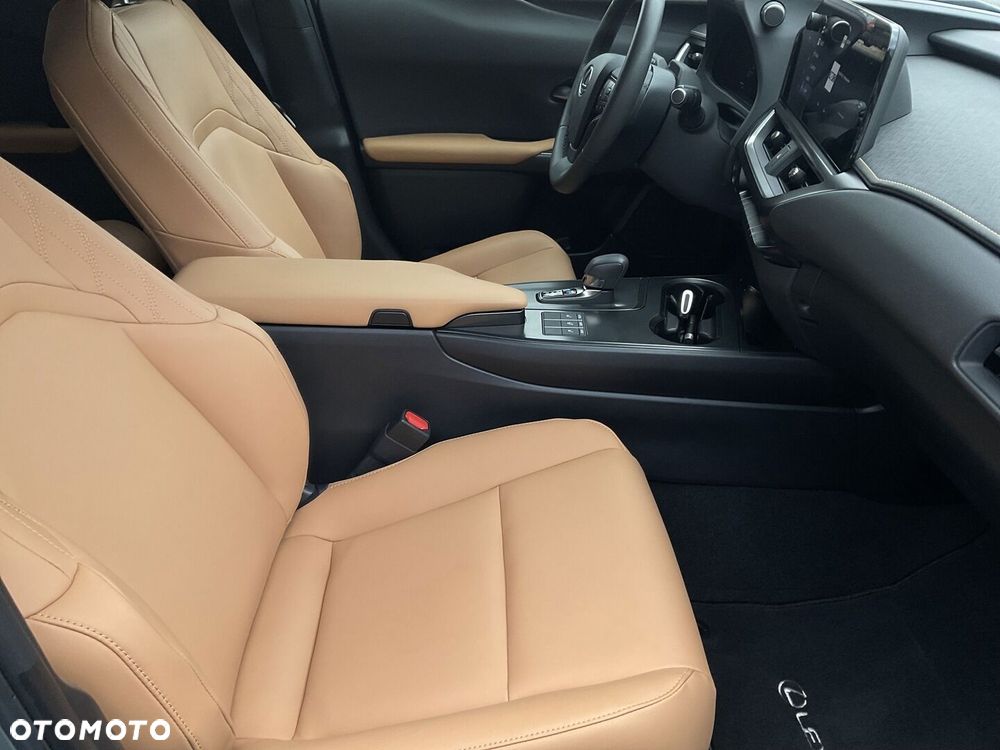 Lexus UX 300h F Sport Design AWD - 12