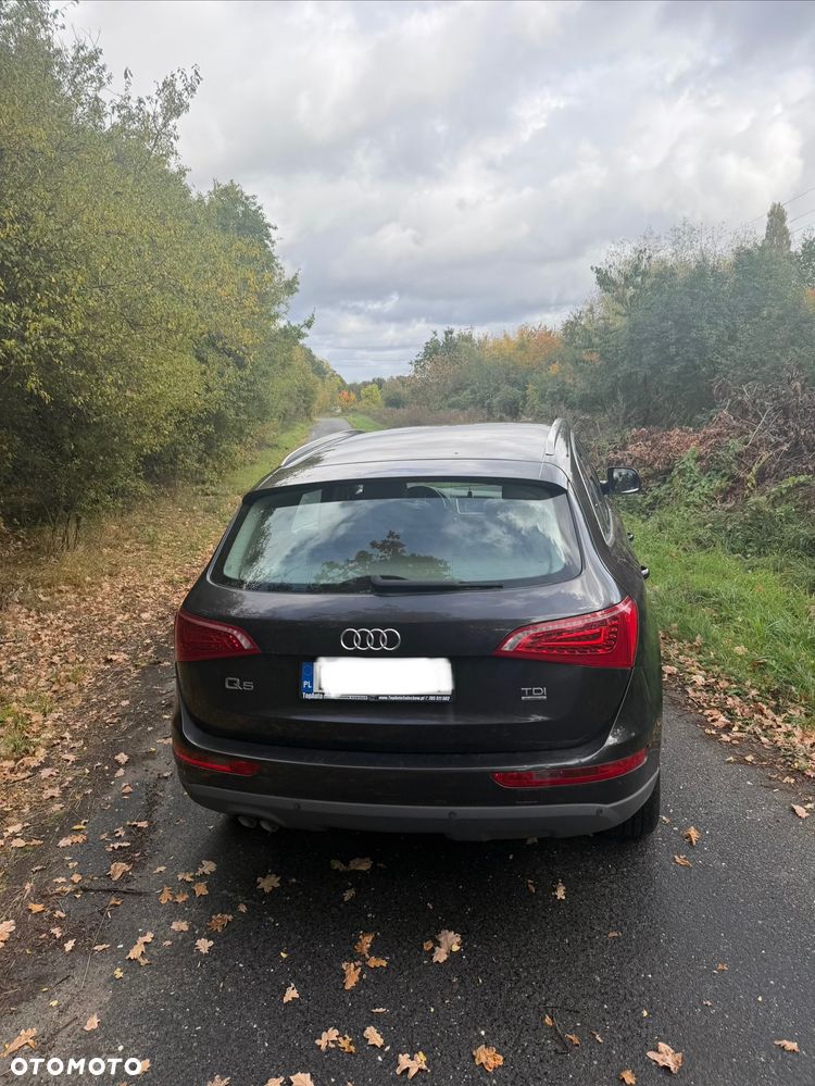 Audi Q5 2011 photo 5