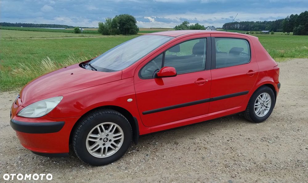 Peugeot 307 1.4 XR - 2