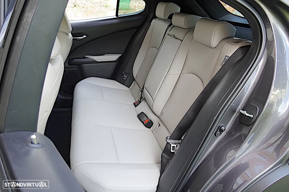 Lexus UX 250h F Sport - 22